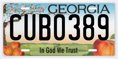 GA license plate CUB0389