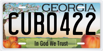 GA license plate CUB0422