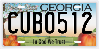 GA license plate CUB0512