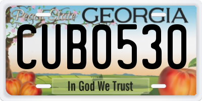 GA license plate CUB0530
