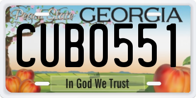 GA license plate CUB0551
