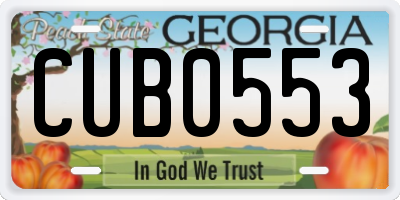 GA license plate CUB0553