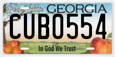 GA license plate CUB0554