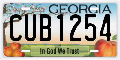 GA license plate CUB1254