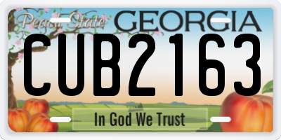 GA license plate CUB2163