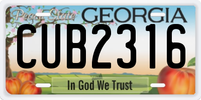 GA license plate CUB2316