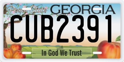 GA license plate CUB2391