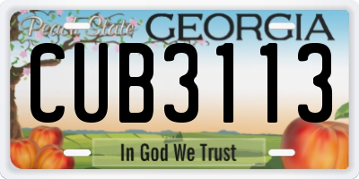 GA license plate CUB3113