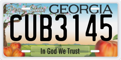 GA license plate CUB3145