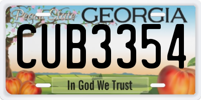 GA license plate CUB3354