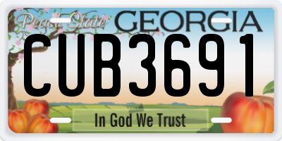 GA license plate CUB3691
