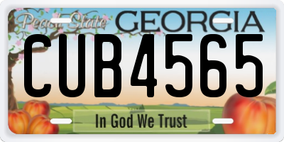 GA license plate CUB4565