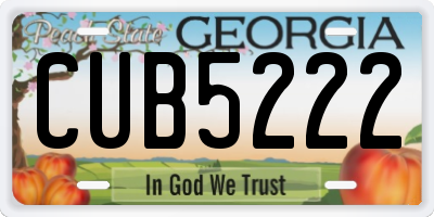 GA license plate CUB5222