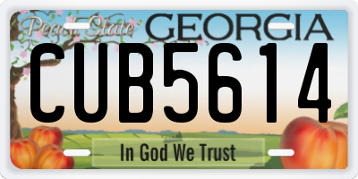 GA license plate CUB5614