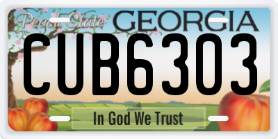 GA license plate CUB6303