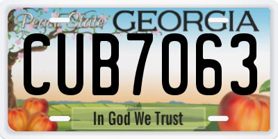 GA license plate CUB7063