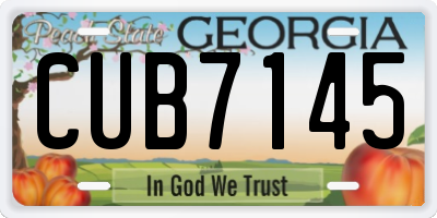 GA license plate CUB7145