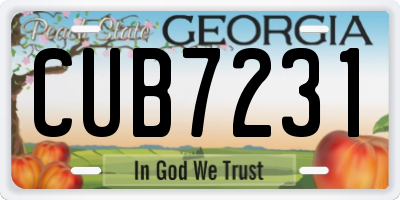 GA license plate CUB7231