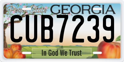 GA license plate CUB7239