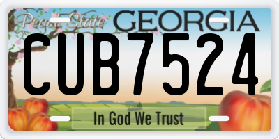 GA license plate CUB7524