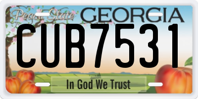 GA license plate CUB7531