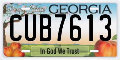 GA license plate CUB7613