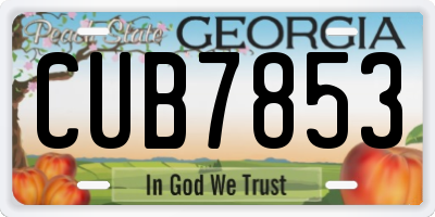 GA license plate CUB7853