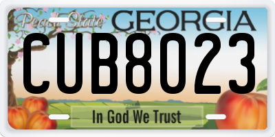 GA license plate CUB8023