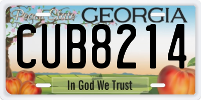 GA license plate CUB8214