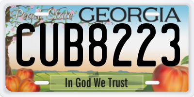 GA license plate CUB8223