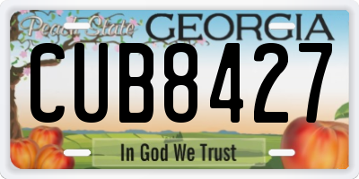 GA license plate CUB8427