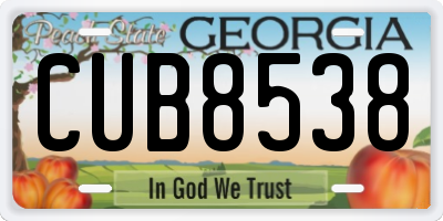 GA license plate CUB8538
