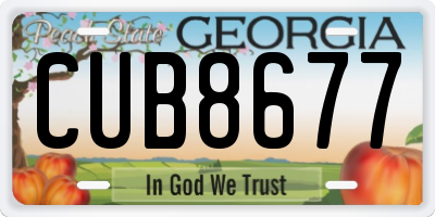 GA license plate CUB8677