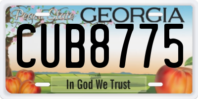 GA license plate CUB8775