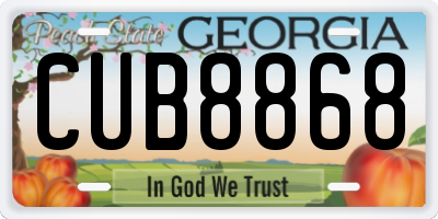 GA license plate CUB8868