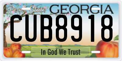 GA license plate CUB8918