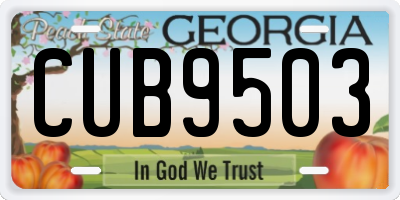 GA license plate CUB9503
