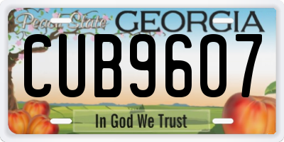 GA license plate CUB9607