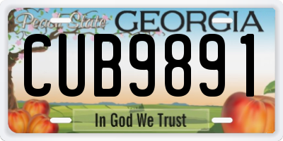 GA license plate CUB9891