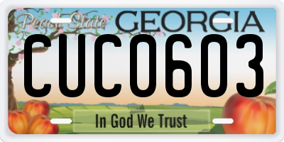 GA license plate CUC0603