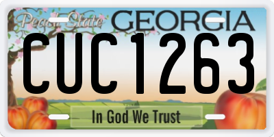 GA license plate CUC1263