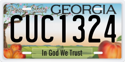GA license plate CUC1324