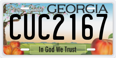 GA license plate CUC2167