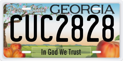 GA license plate CUC2828