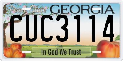 GA license plate CUC3114