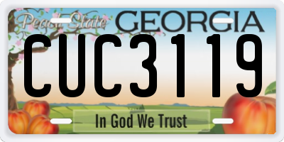 GA license plate CUC3119