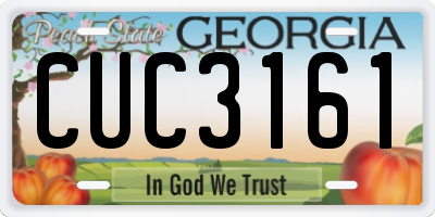 GA license plate CUC3161