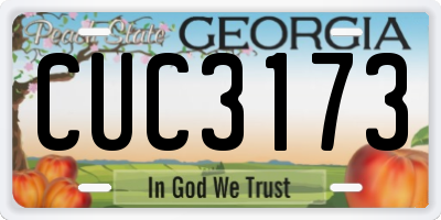 GA license plate CUC3173