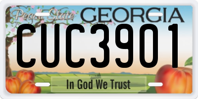 GA license plate CUC3901