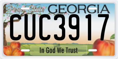 GA license plate CUC3917
